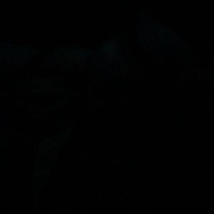 Meet your Posher, Zhahidi